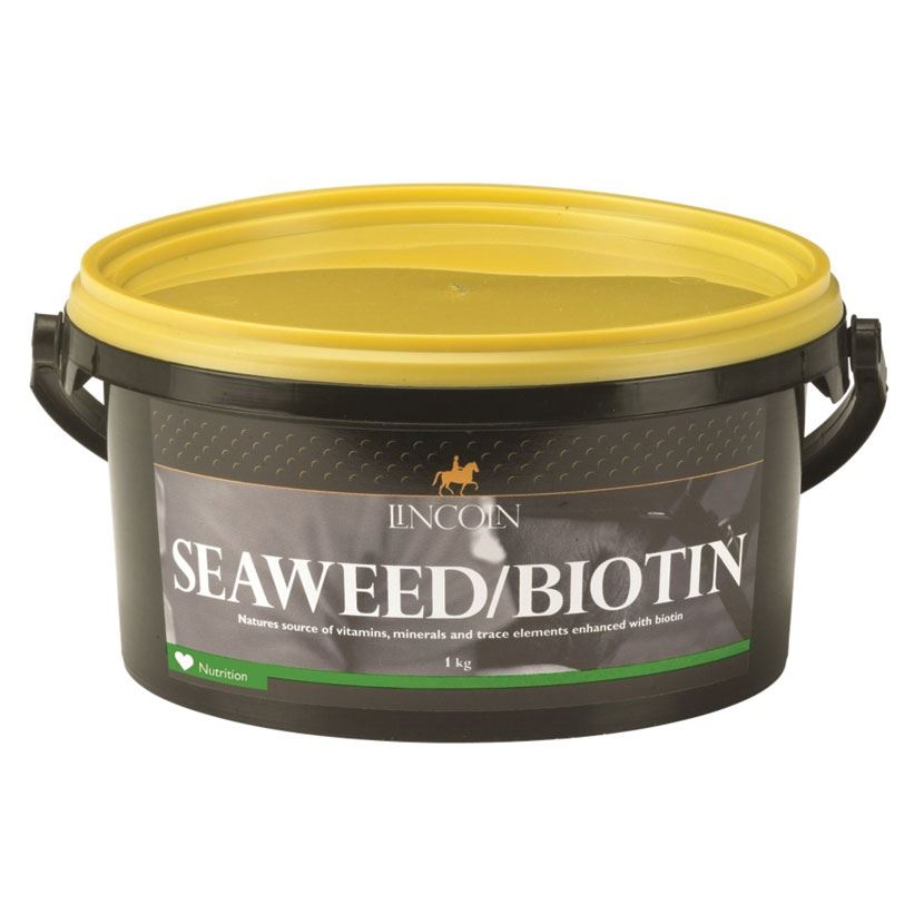 Lincoln Seaweed & Biotin - Just Horse Riders