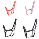 Hy Essential Economy Head Collar - Just Horse Riders