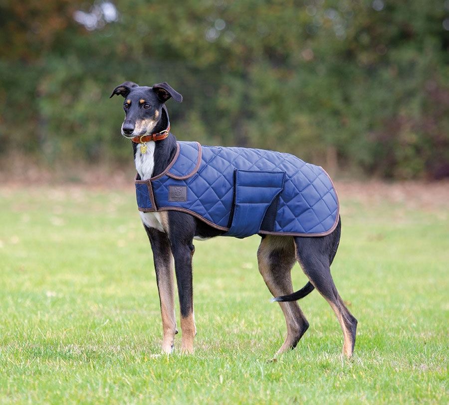 Shires Digby & Fox Quilted Dog Coat - Just Horse Riders