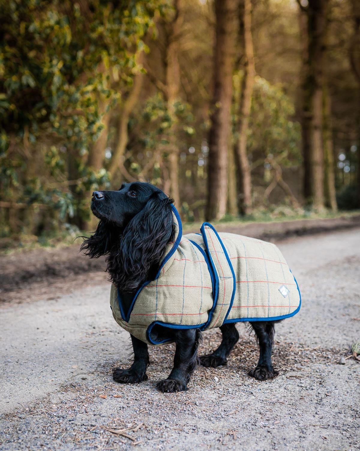 Danish Design Tweed Dog Coat - Just Horse Riders