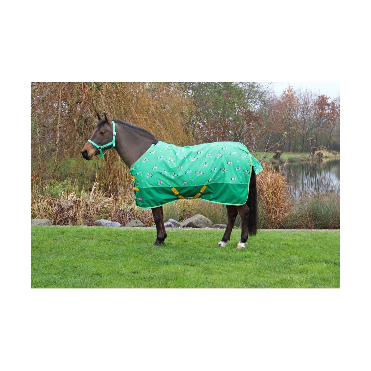 StormX Original Competition Ready 50 Turnout Rug - Just Horse Riders