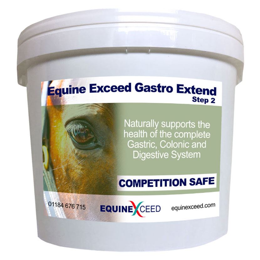 Equine Exceed Gastro PRO Extend - Just Horse Riders