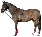 Whitaker Training System - Just Horse Riders