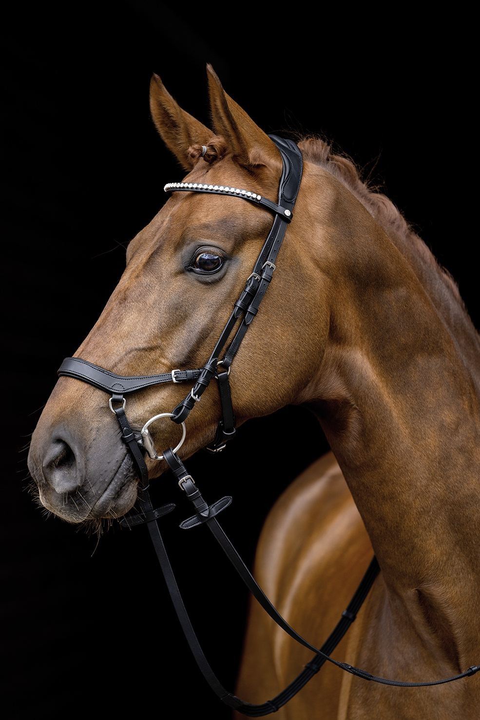 HKM Bridle Pro Anatomic - Just Horse Riders