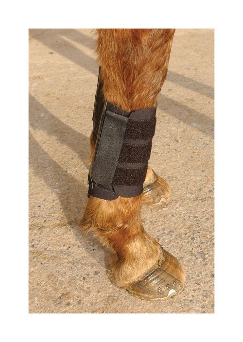 KITT Kool Brushing Boot - Just Horse Riders