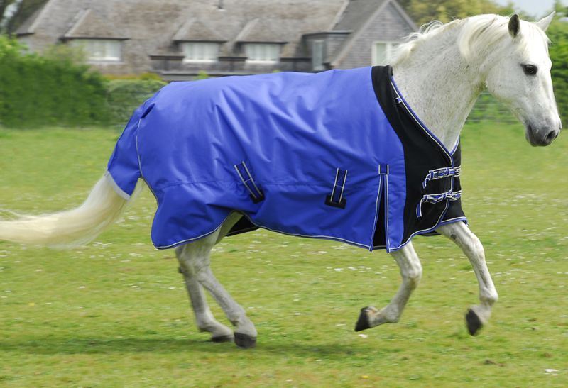 Rhinegold Elite Storm Rug(Inc Neck Cover) - Just Horse Riders