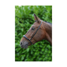 Hy Padded Drop Nose Band - Just Horse Riders
