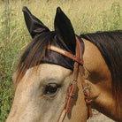 Cashel Comfort Ears - Just Horse Riders