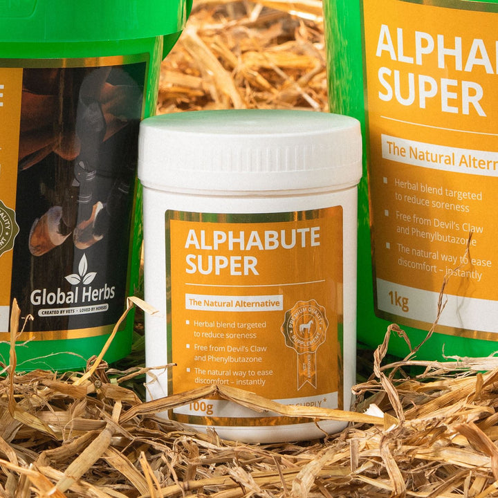 Global Herbs Alphabute Super - natural alternative for reducing soreness in horses