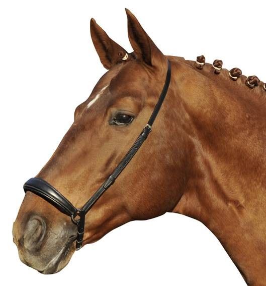 HKM Dropped Noseband Hannover - Just Horse Riders