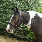 Windsor Comfort Bridle - Just Horse Riders