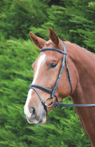 Shires Aviemore Raised Flash Bridle - Just Horse Riders