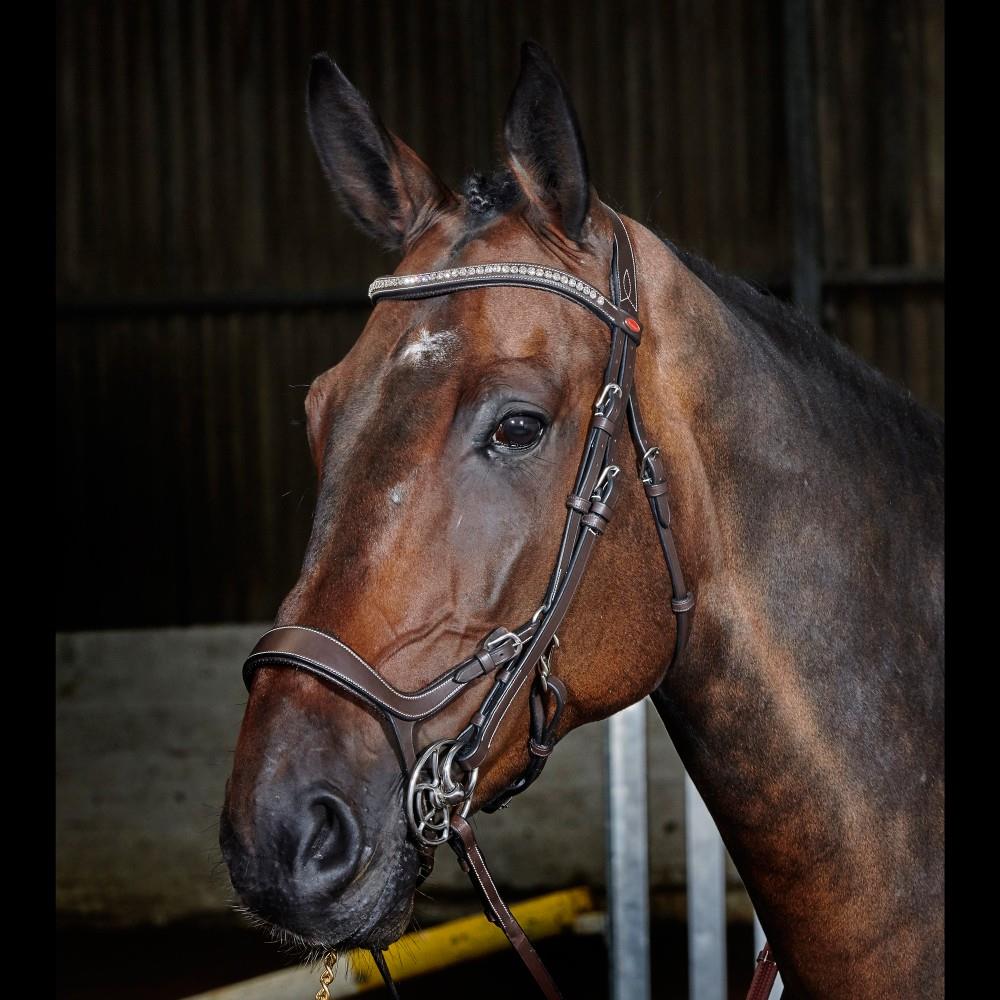 John Whitaker Chicago Perforated Anatomic Bridle (inc. 9-Loop Rubber Reins) - Just Horse Riders