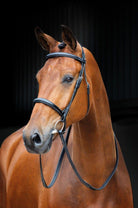Shires Salisbury Fairford Bridle - Just Horse Riders
