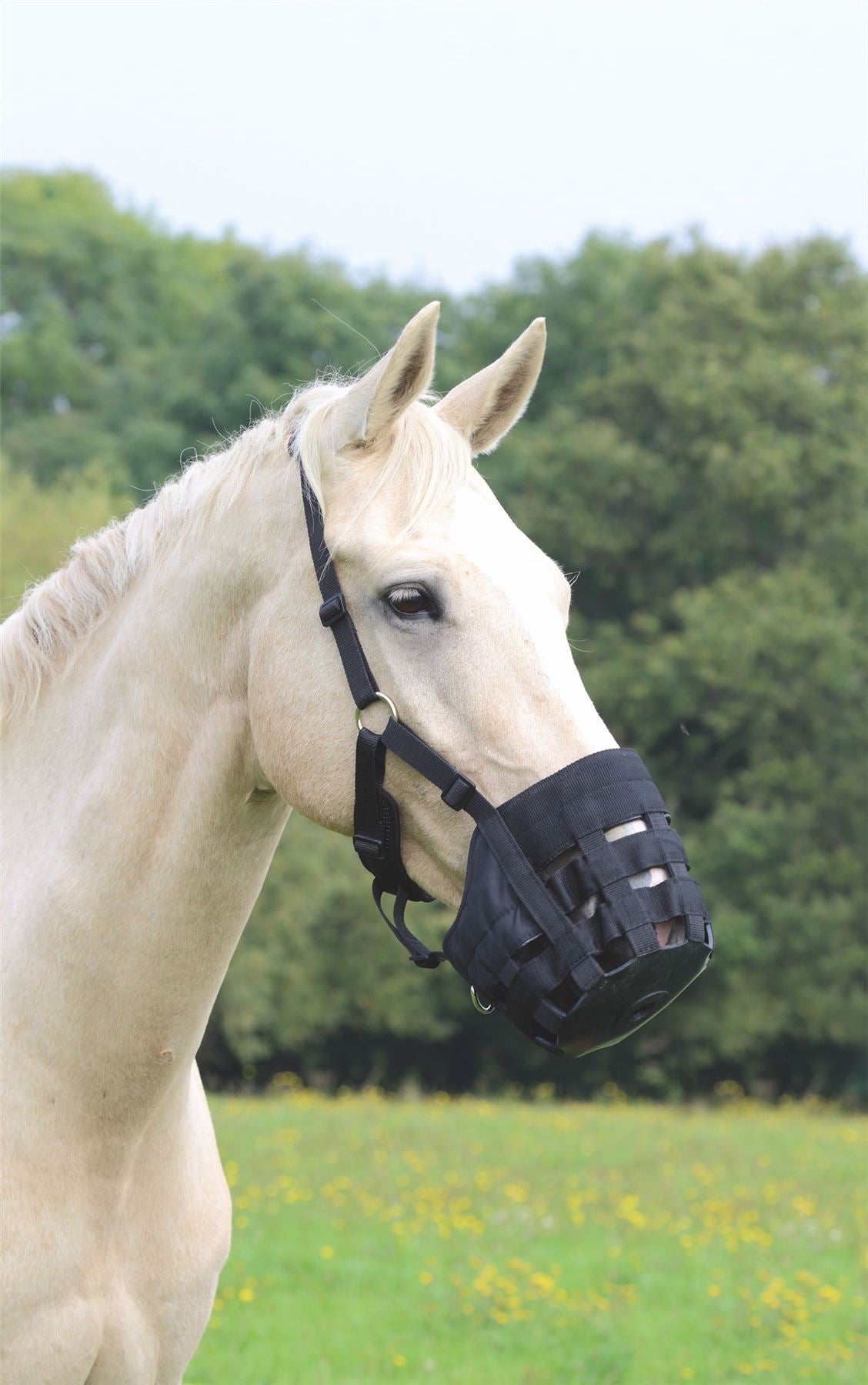 Shires Comfort Grazing Muzzle - Just Horse Riders