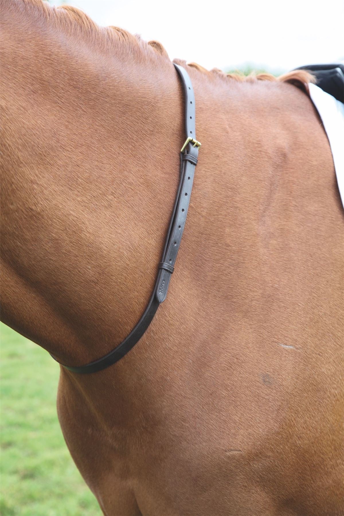 Shires Blenheim Leather Neck Strap - Just Horse Riders