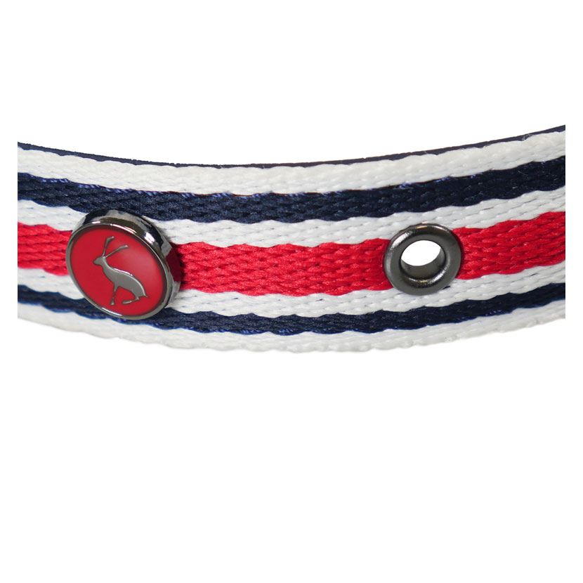 Joules Striped Dog Collar - Just Horse Riders