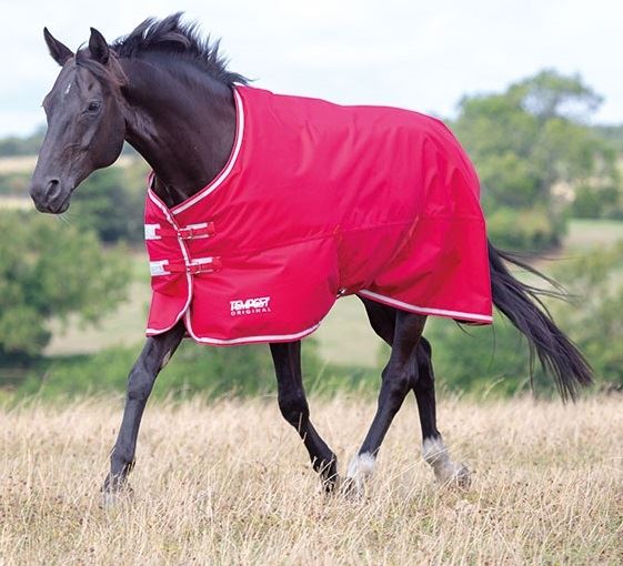 Shires Tempest Original Air Motion Turnout Rug - Just Horse Riders