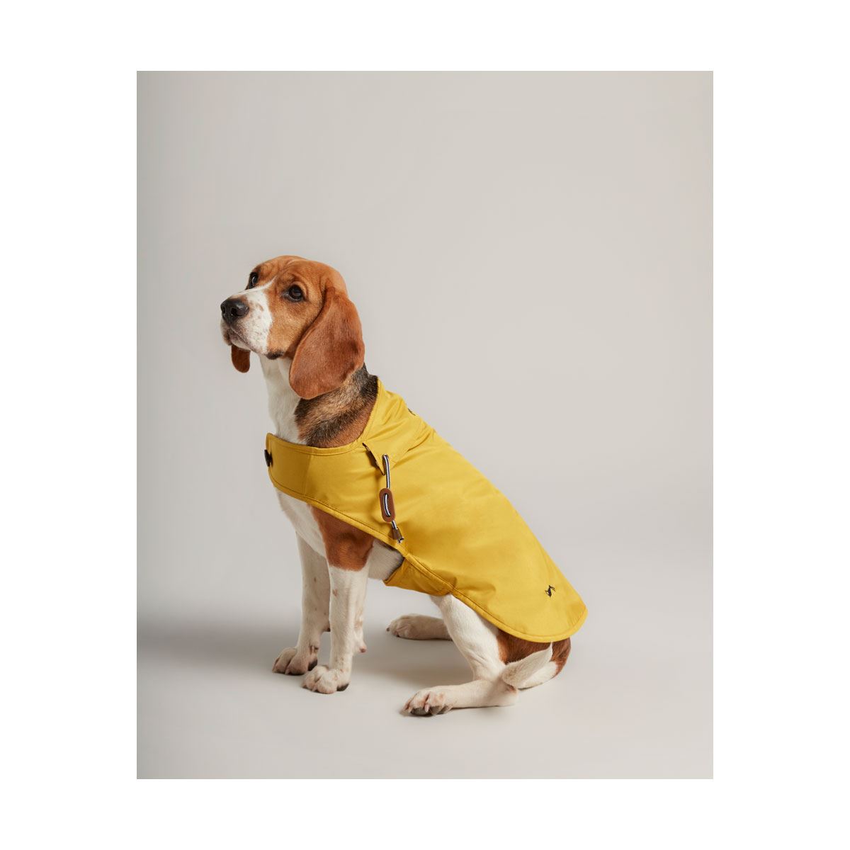Joules Water Resistant Dog Coat - Just Horse Riders