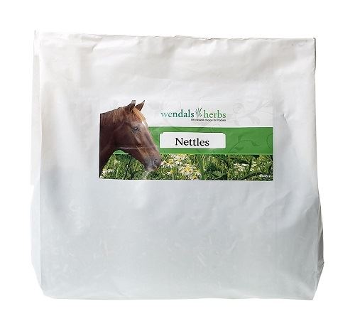 Wendals Nettles - Just Horse Riders
