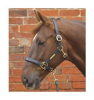 Hy Leather Head Collar - Just Horse Riders