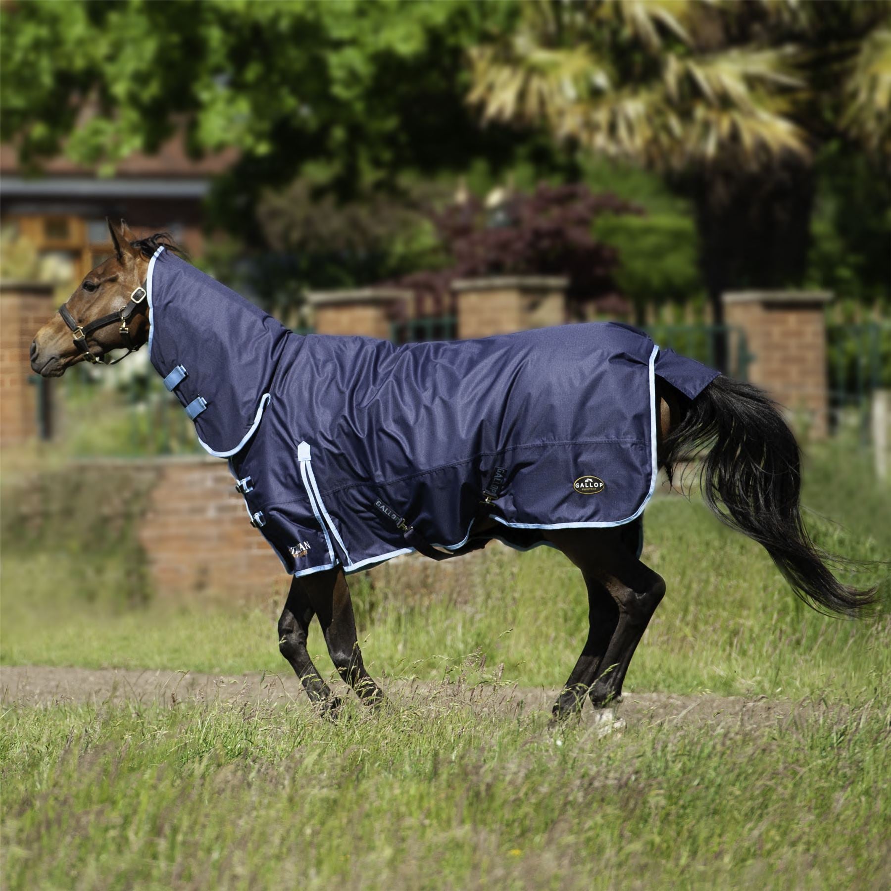 Gallop Equestrian Trojan 350 Combo Turnout - Just Horse Riders