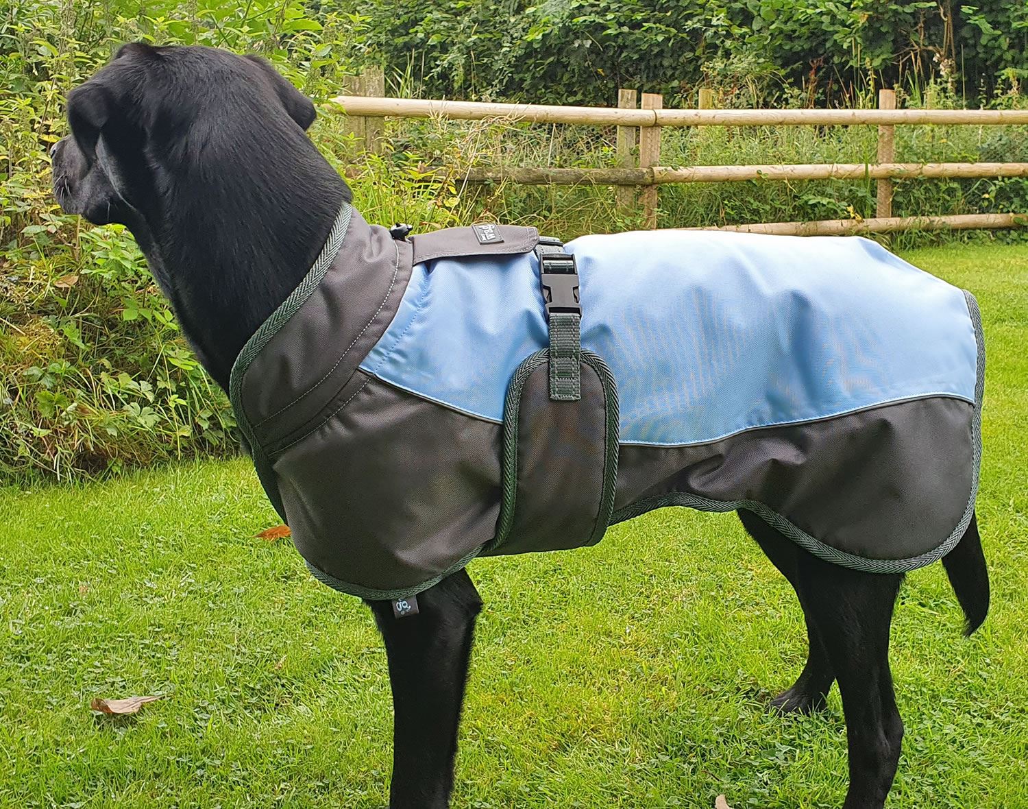 Henry Wag Waterproof Dog Coat - Just Horse Riders