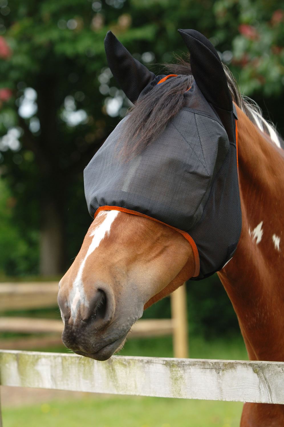 Equilibrium Field Relief Midi Fly Mask With Ears - Just Horse Riders