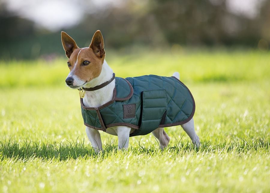 Shires Digby & Fox Quilted Dog Coat - Just Horse Riders