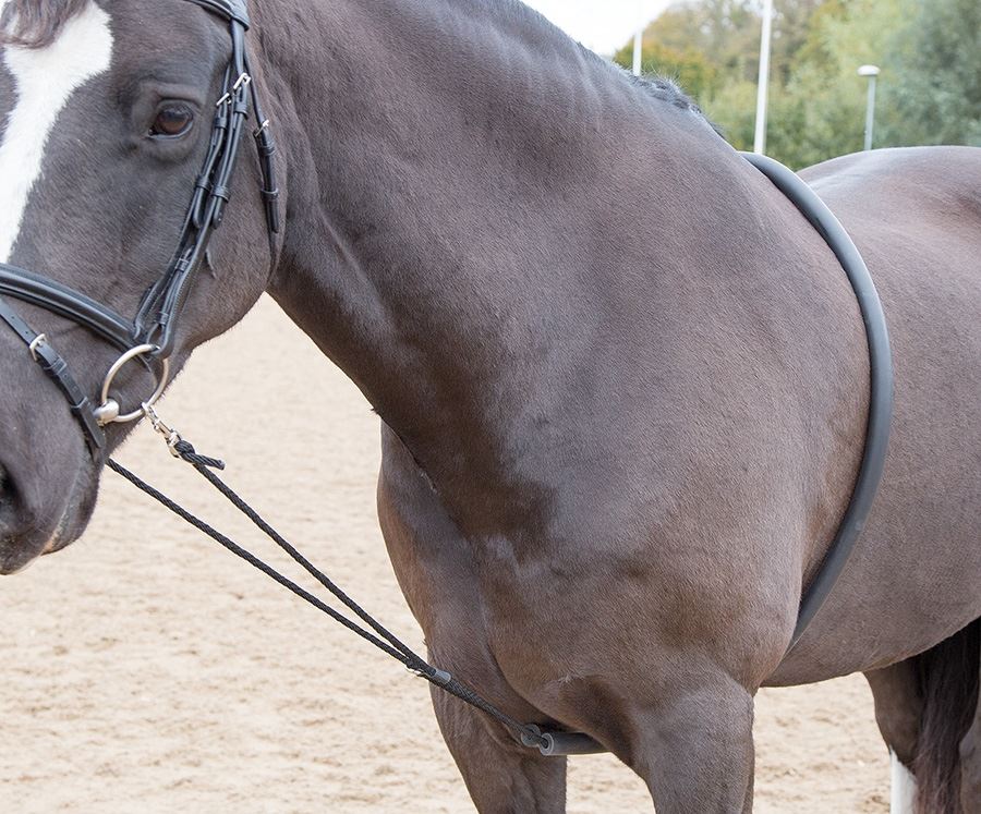 Shires Soft Lunging Aid - Just Horse Riders