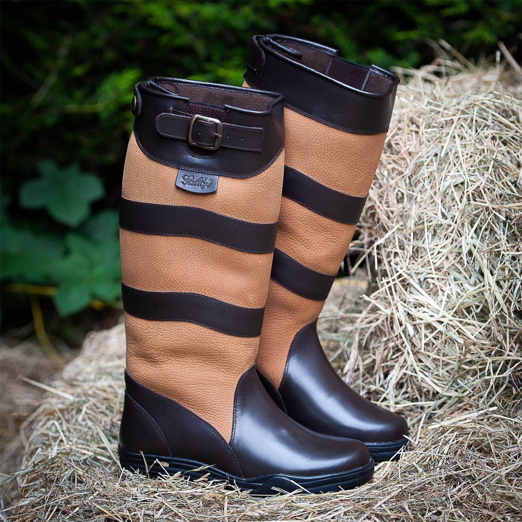 Gallop Equestrian Chiltern Country Boot - Just Horse Riders