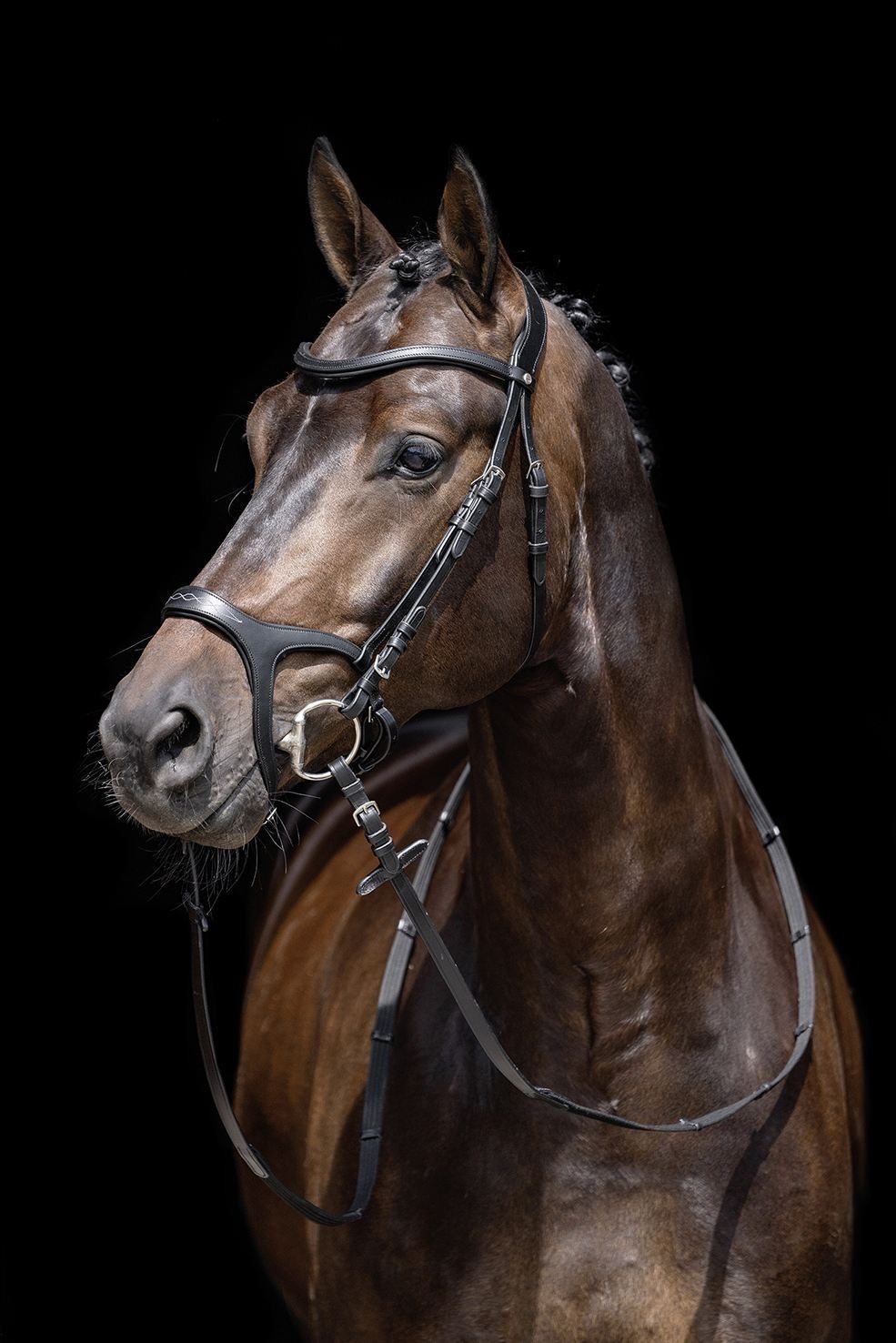 HKM Bridle Anatomic Sports - Just Horse Riders