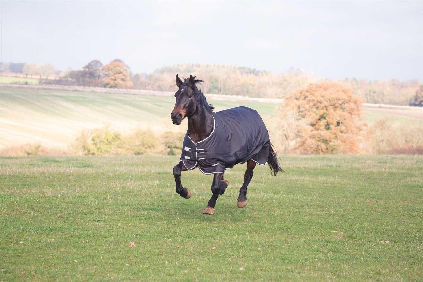 Shires Tempest Plus 300 Turnout Rug - Just Horse Riders