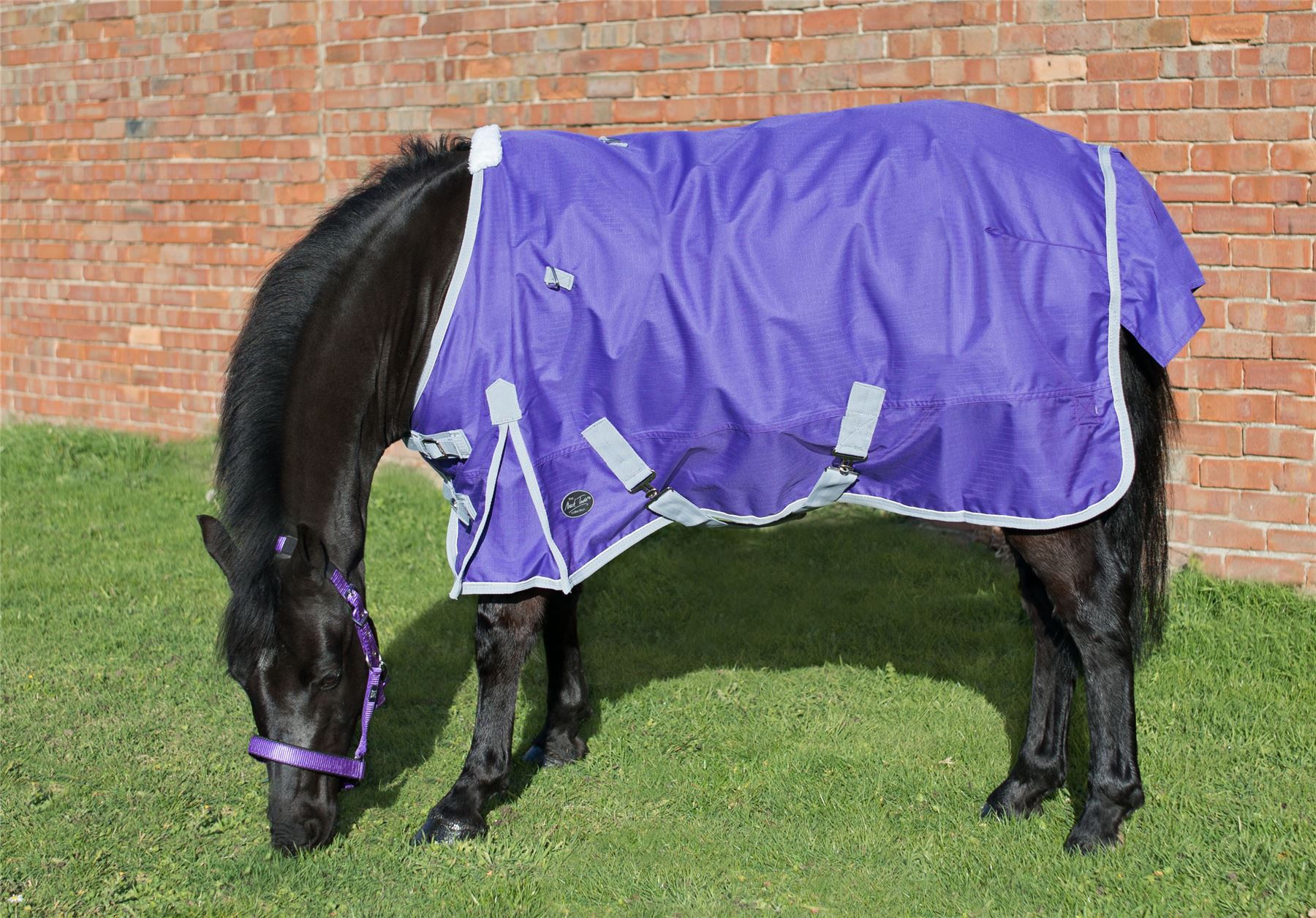 Mark Todd Lightweight Pony Turnout Rug - Just Horse Riders