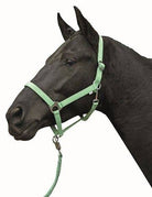 HKM Head Collar Stars Economy Softice - Just Horse Riders