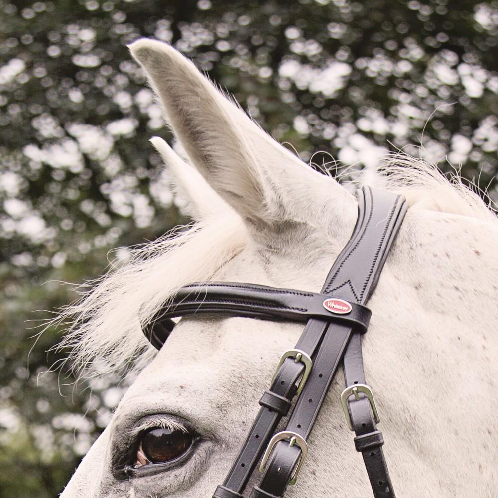 John Whitaker Eastwood Mexican Bridle (inc. 9-Loop Rubber Reins) - Just Horse Riders