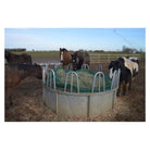 Trickle Net Topper Net - Just Horse Riders