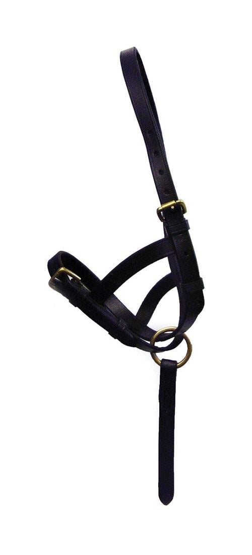 Hy Leather Foal Slip - Just Horse Riders