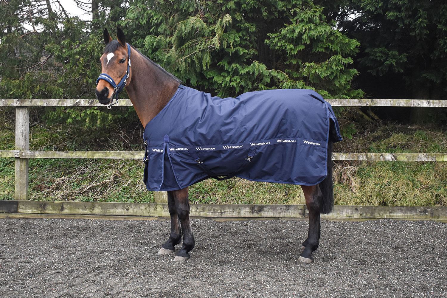 Whitaker Kirkby Turnout Rug 100 Gm - Just Horse Riders