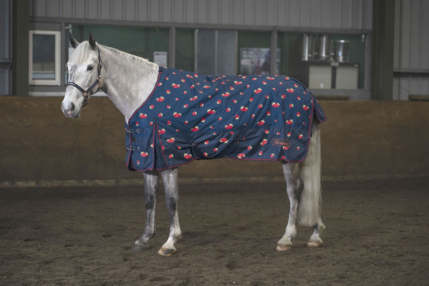 Whitaker Strawberry Turnout Rug 0Gm - Just Horse Riders