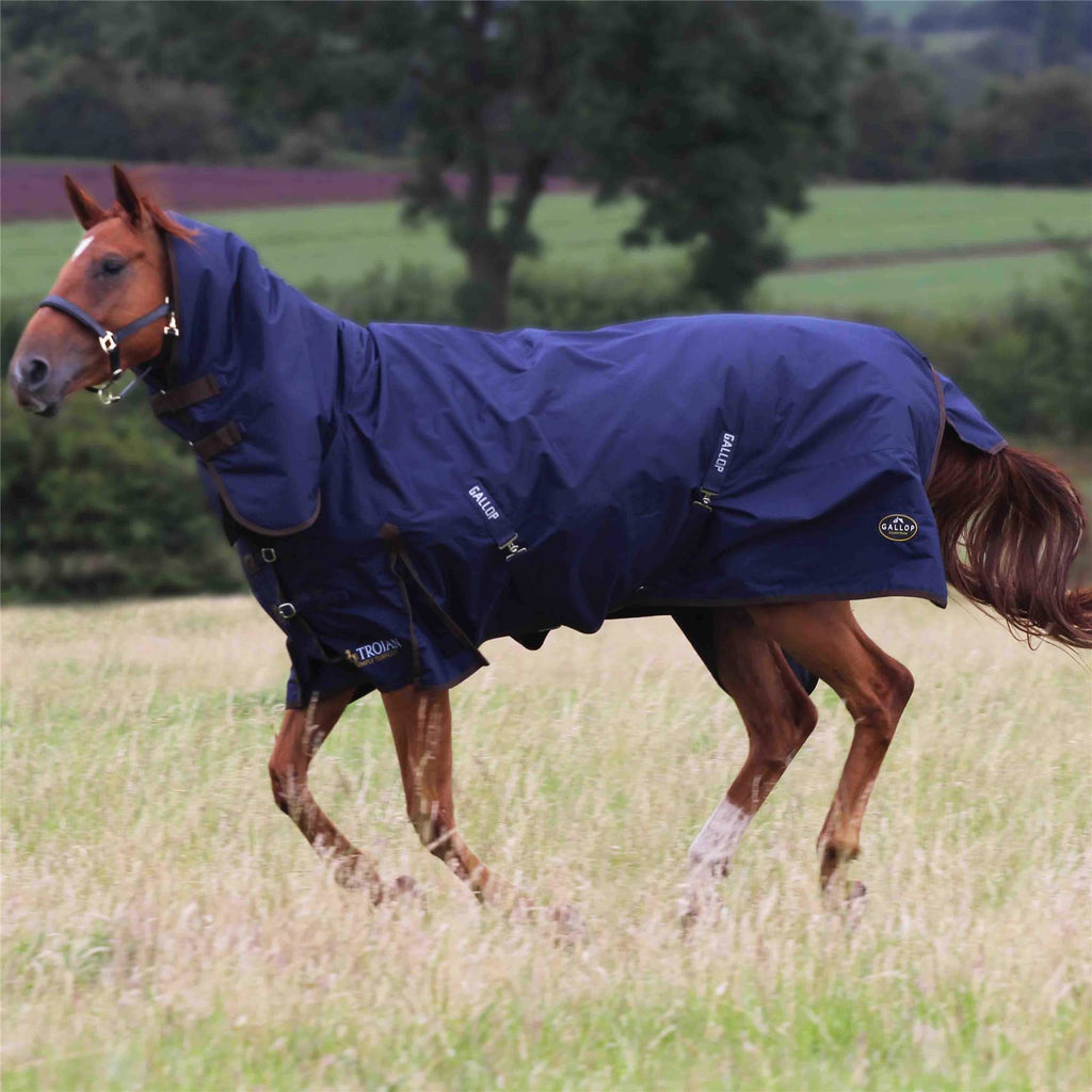 Gallop Equestrian Trojan 450 Combo Turnout - Just Horse Riders