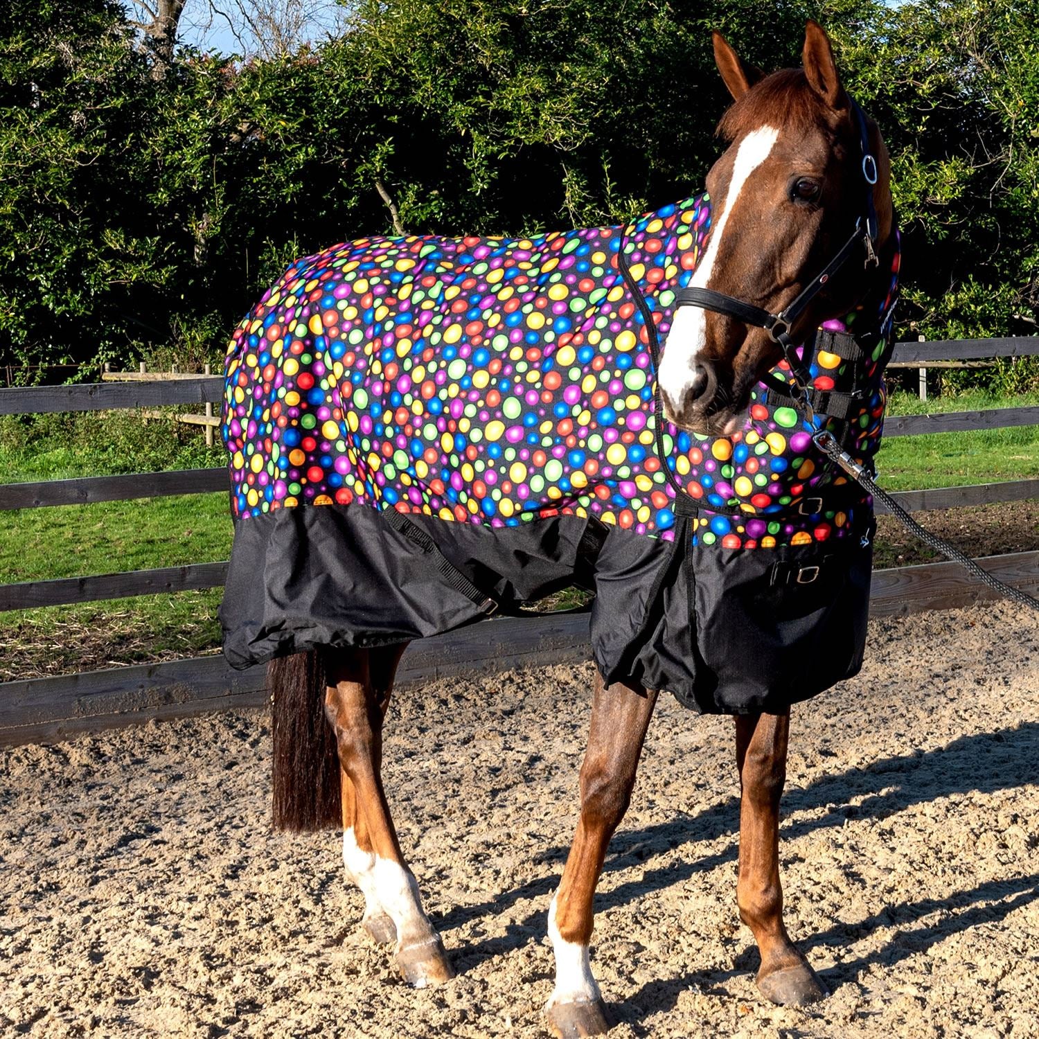Whitaker Whiston Turnout Rug Detachable Neck 170Gm - Just Horse Riders