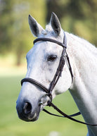 Shires Avignon Raised Cavesson Bridle - Just Horse Riders