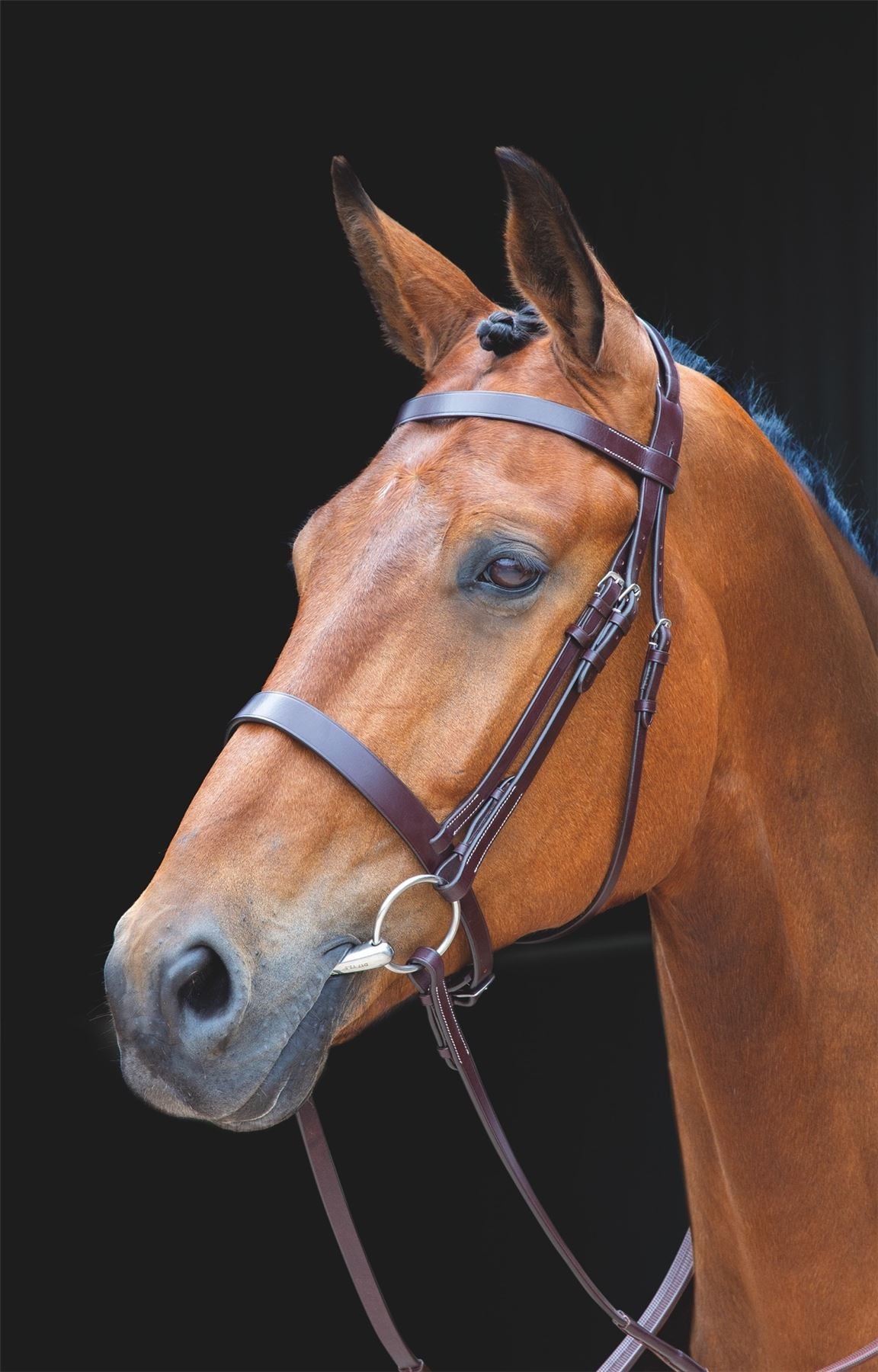 Shires Salisbury Berrington Bridle - Just Horse Riders