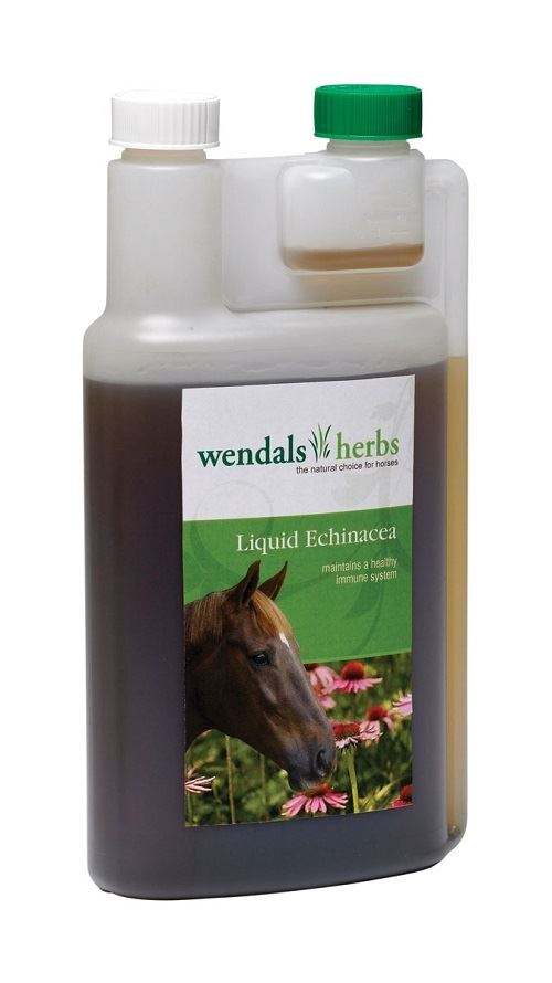 Wendals Liquid Echinacea - Just Horse Riders