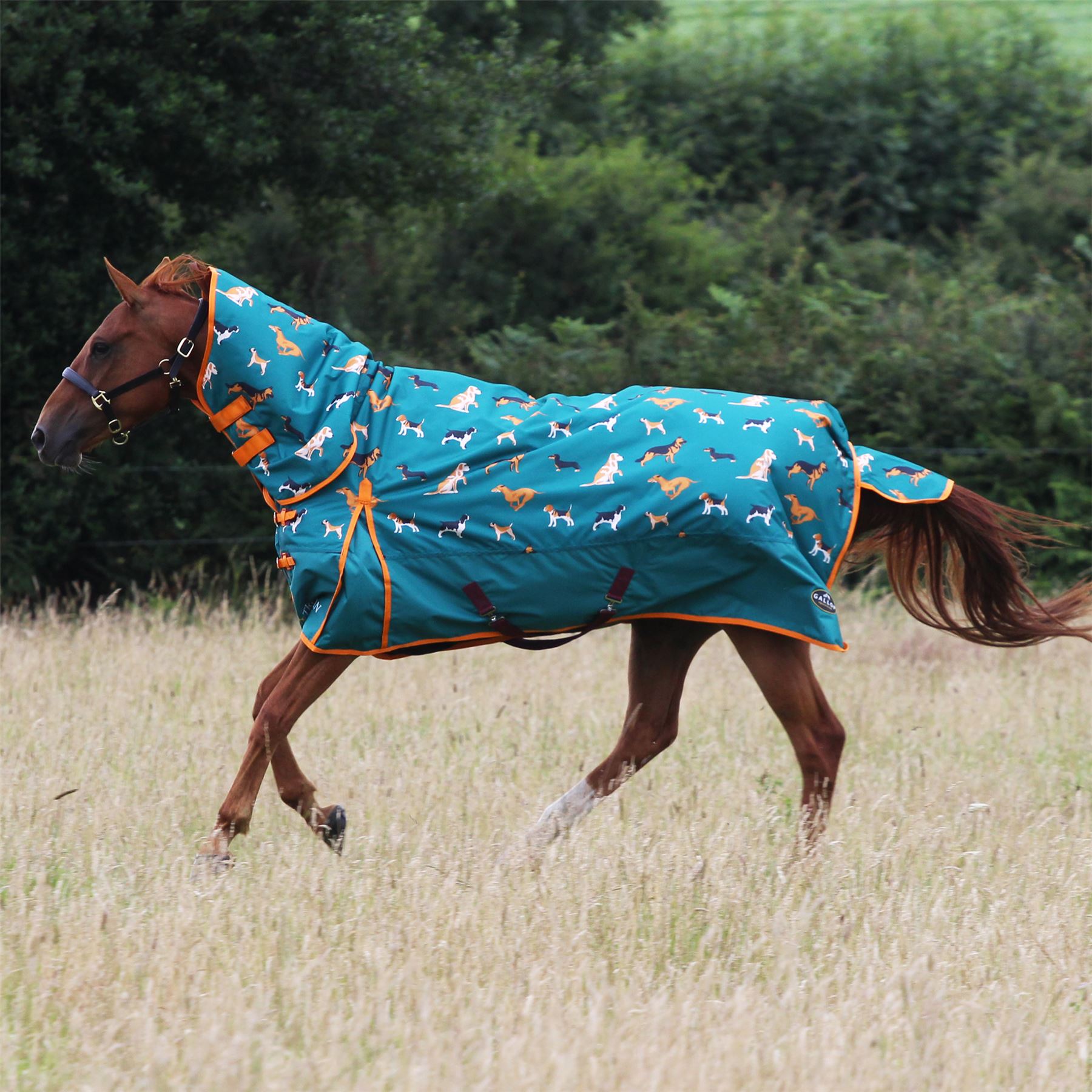 Gallop Equestrian Dogs Print 200G Combo Turnout Rug - Just Horse Riders