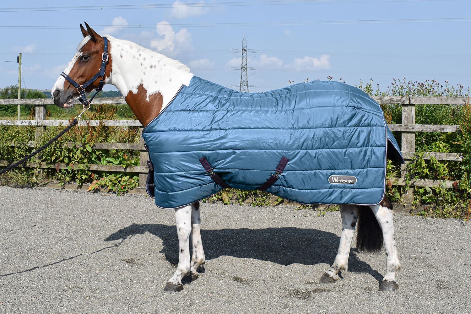 Whitaker Lupin Stable Rug 200Gm - Just Horse Riders
