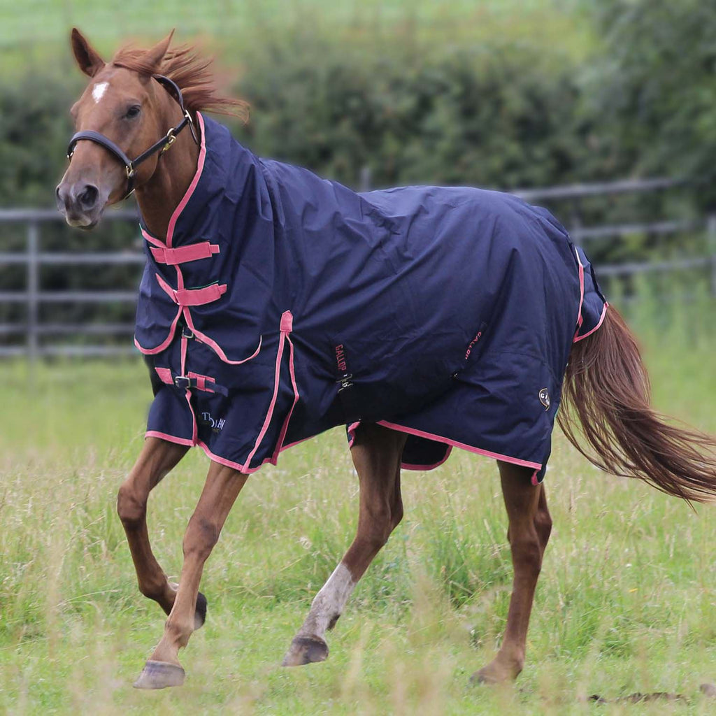 Gallop Equestrian Trojan 50 Combo Turnout - Just Horse Riders