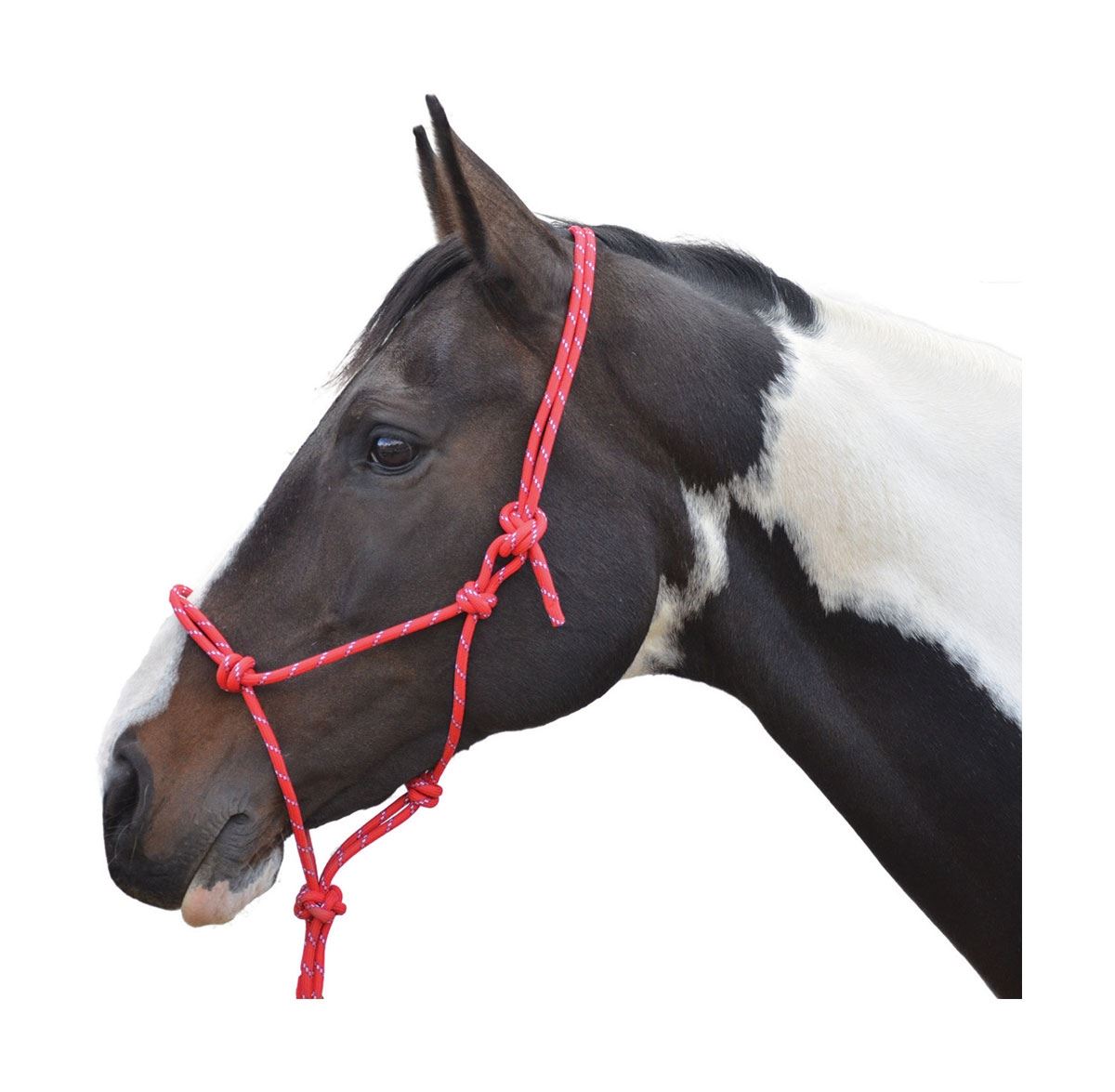 Hy Rope Halter - Just Horse Riders