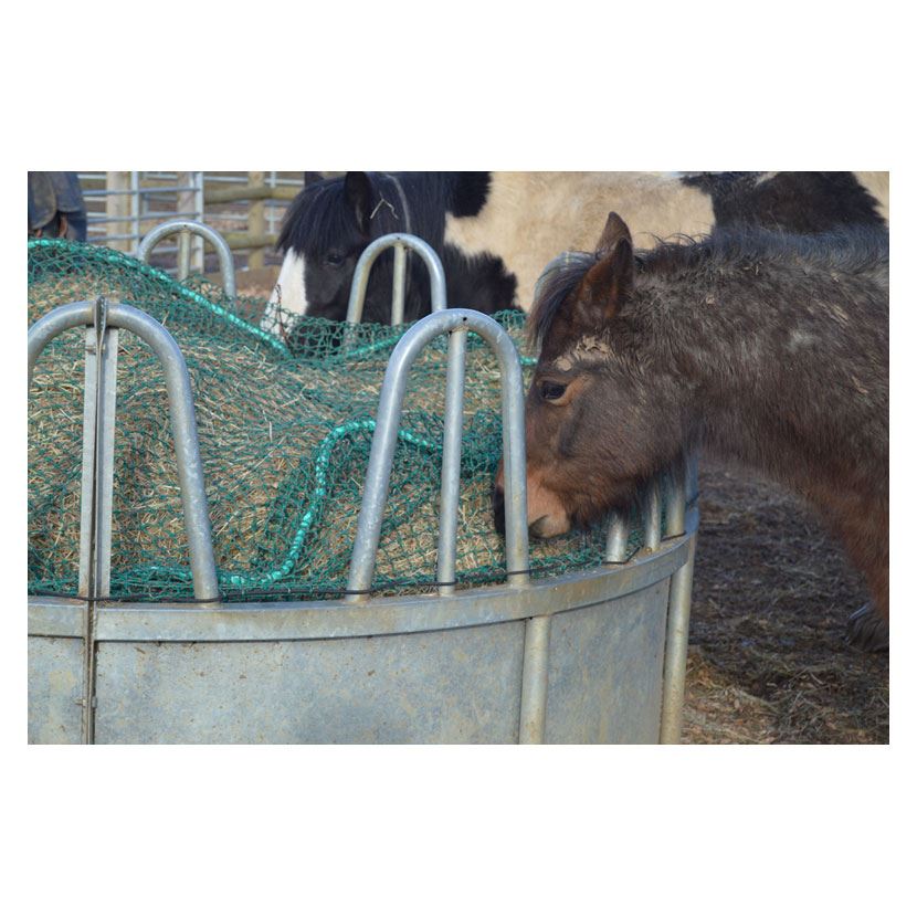 Trickle Net Topper Net - Just Horse Riders